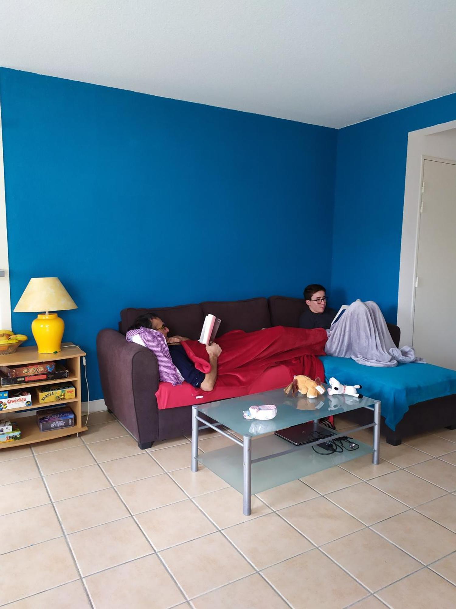 Carcassonne T3 Residentiel Rez De Jardin Piscine, Wifi, Tennis, Fitness Apartment Exterior foto